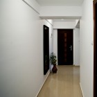 IMG_8144.jpg