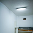 IMG_8164.jpg